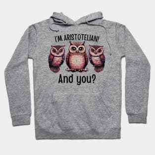 3 owl art for stoicism lovers Hoodie